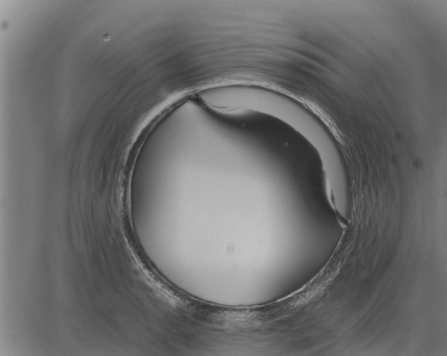 X0000083621134200703121621