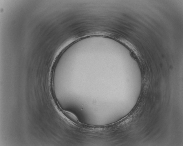 X0000083621135200703121621