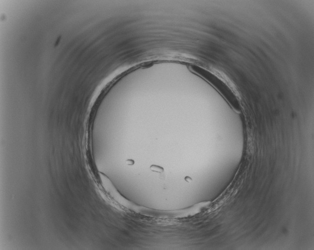 X0000083621136200703121621