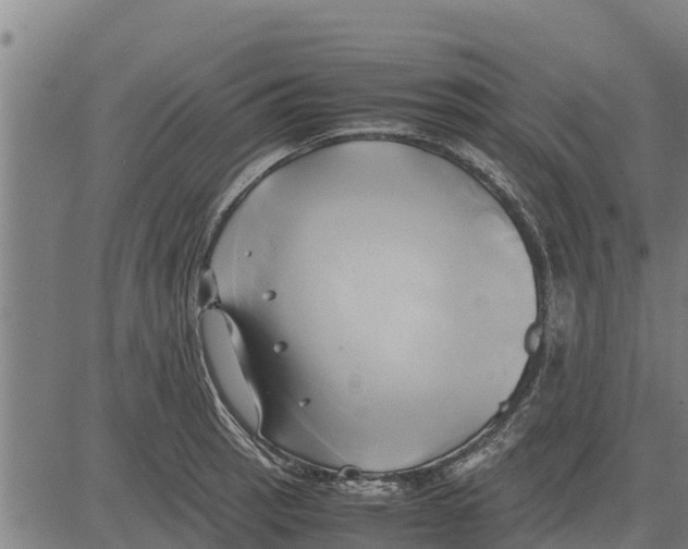 X0000083621137200703121621