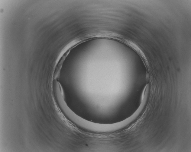 X0000083621138200703121621