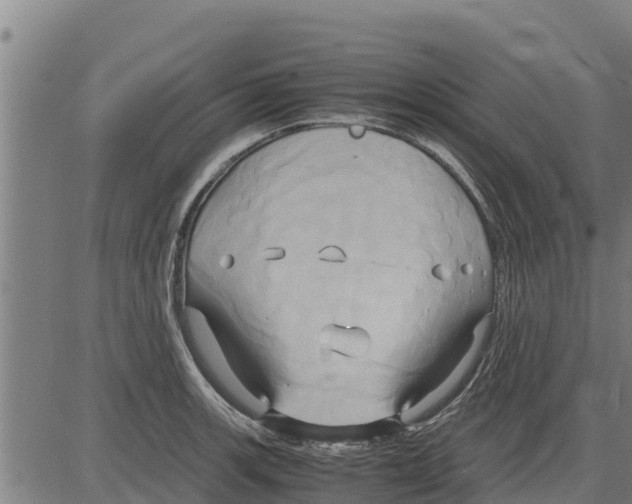 X0000083621139200703121621