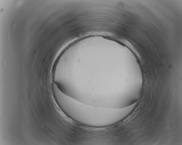 X0000083621140200703121621