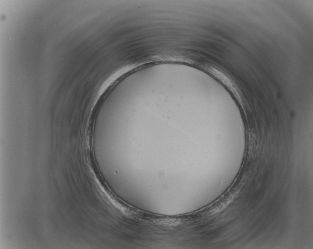 X0000083621141200703121621