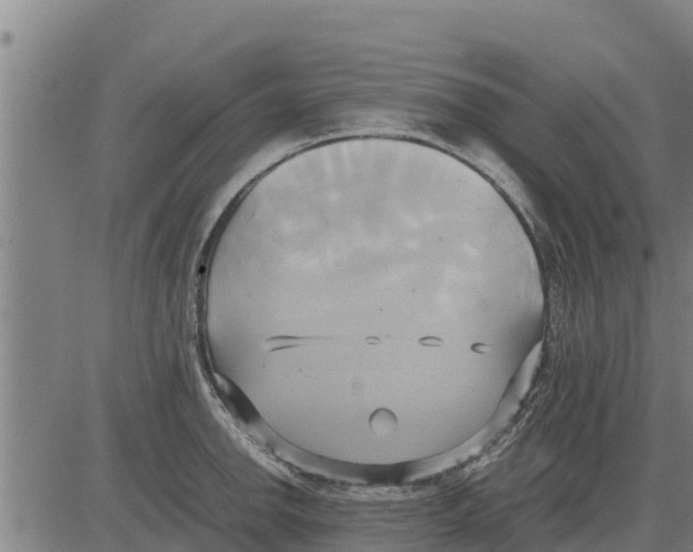 X0000083621142200703121622