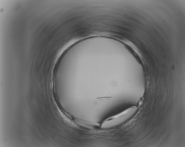 X0000083621143200703121622