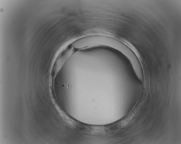 X0000083621144200703121622