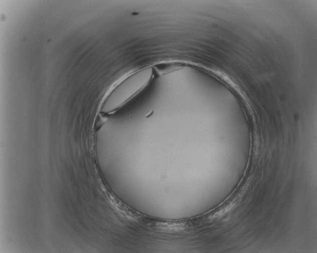 X0000083621145200703121622