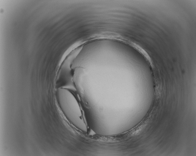 X0000083621146200703121622