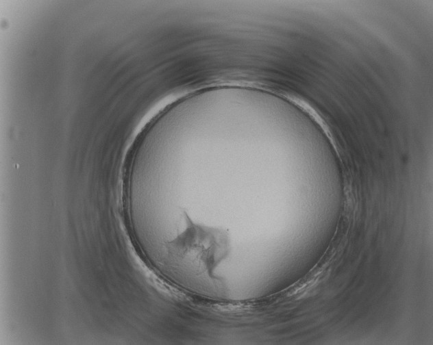 X0000083621147200703121622