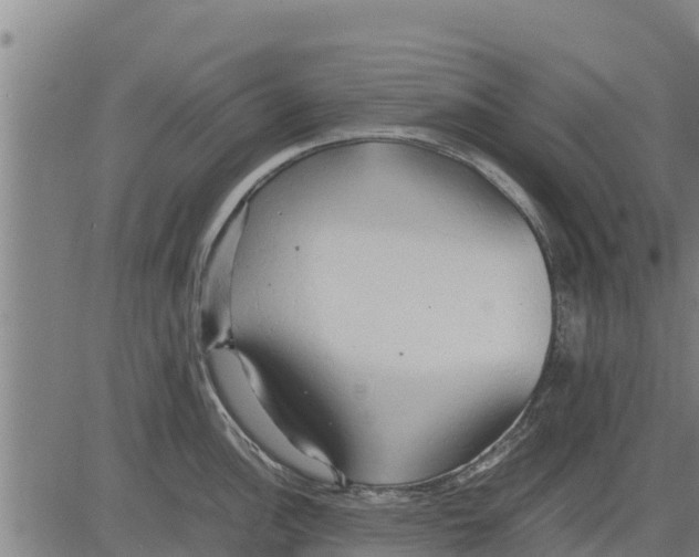 X0000083621148200703121622