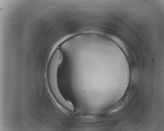 X0000083621149200703121622