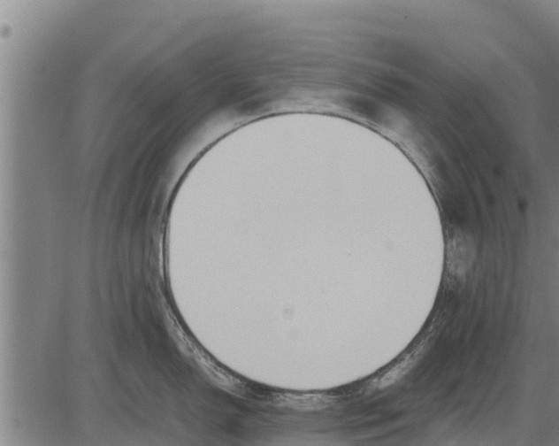 X0000083621150200703121622