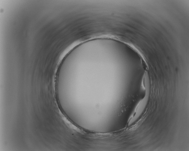 X0000083621151200703121622