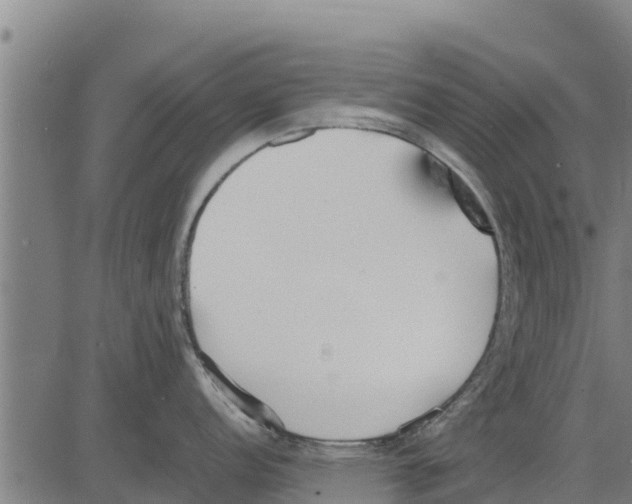 X0000083621152200703121622