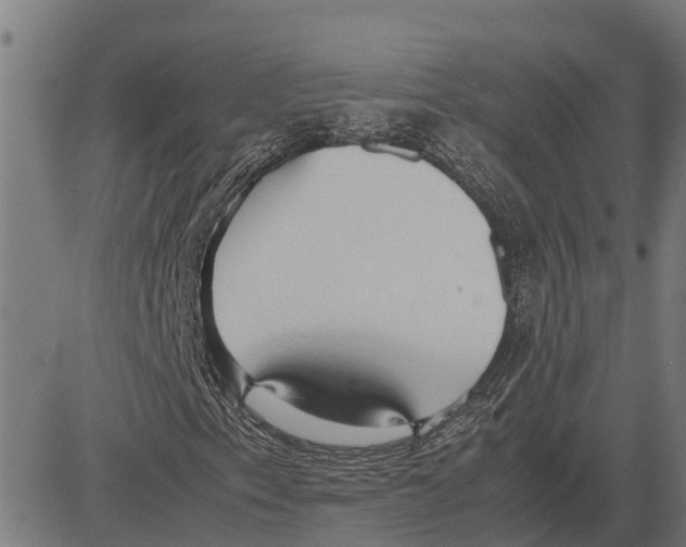 X0000083621153200703121621