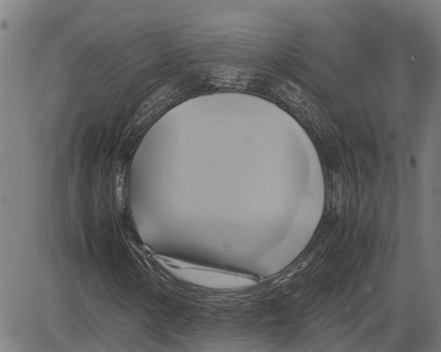 X0000083621154200703121621