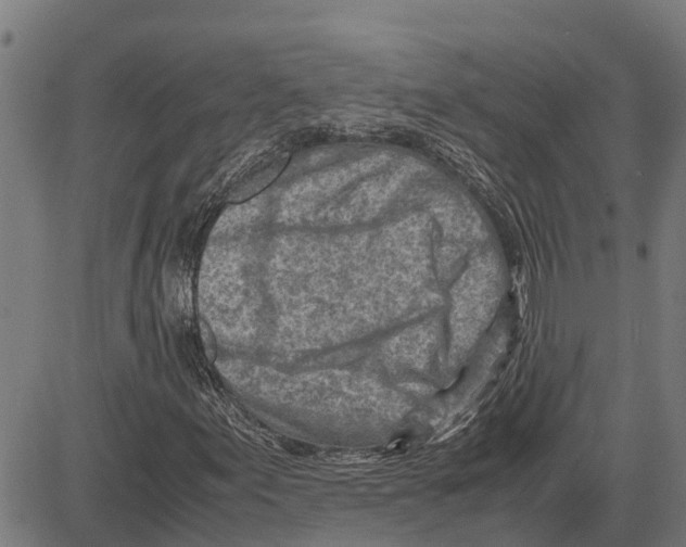 X0000083621155200703121621