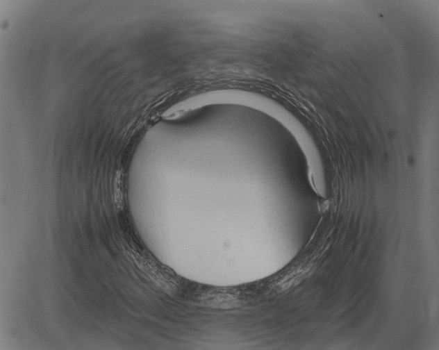 X0000083621156200703121621