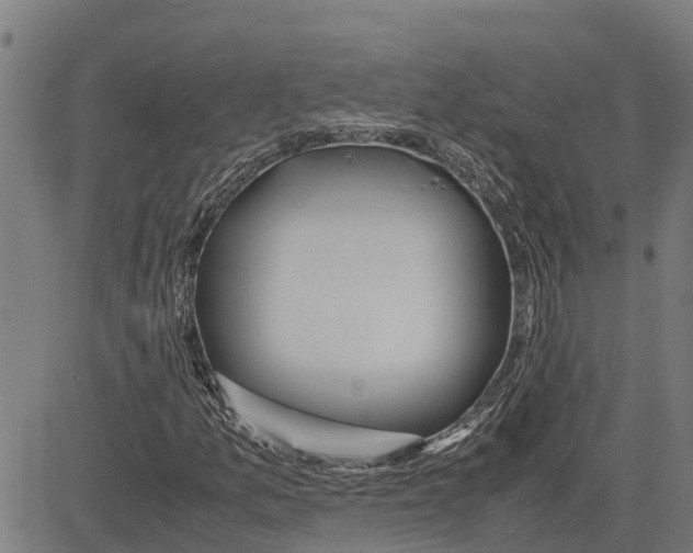 X0000083621157200703121621