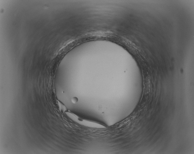 X0000083621158200703121621