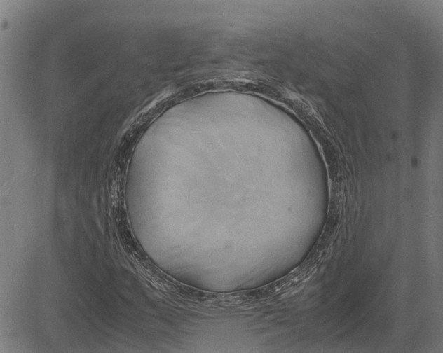 X0000083621159200703121621