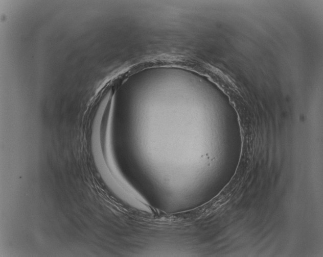 X0000083621160200703121621