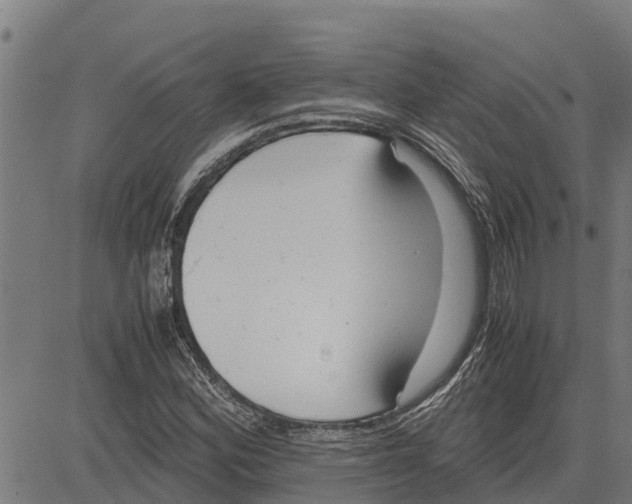 X0000083621164200703121621