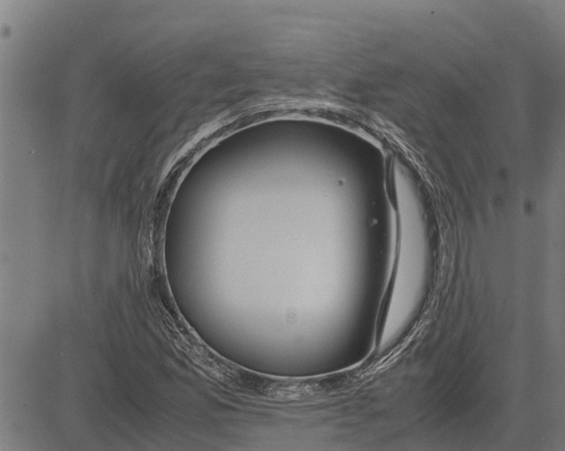 X0000083621165200703121621