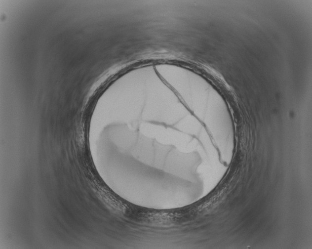 X0000083621167200703121621