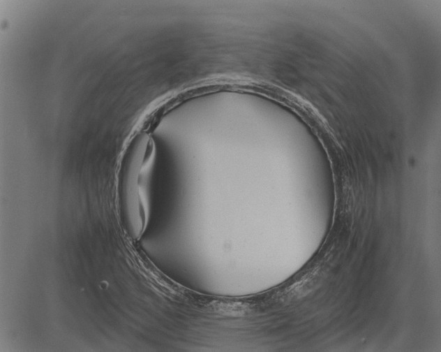 X0000083621168200703121621