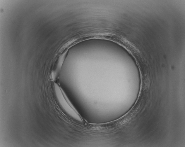 X0000083621169200703121621