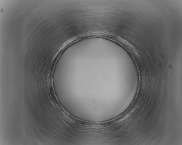 X0000083621170200703121621