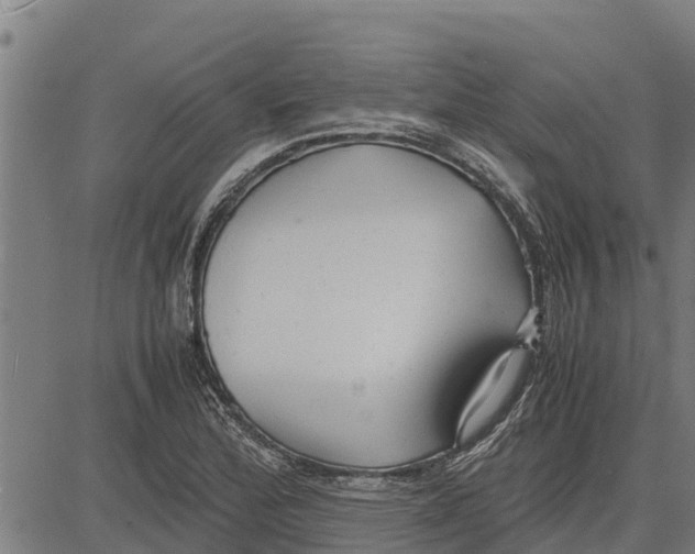 X0000083621172200703121621