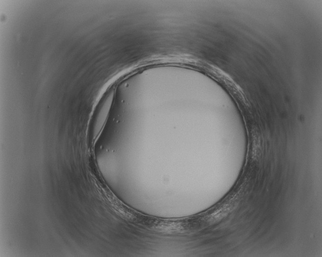 X0000083621174200703121621