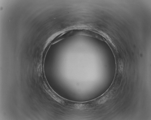 X0000083621176200703121620