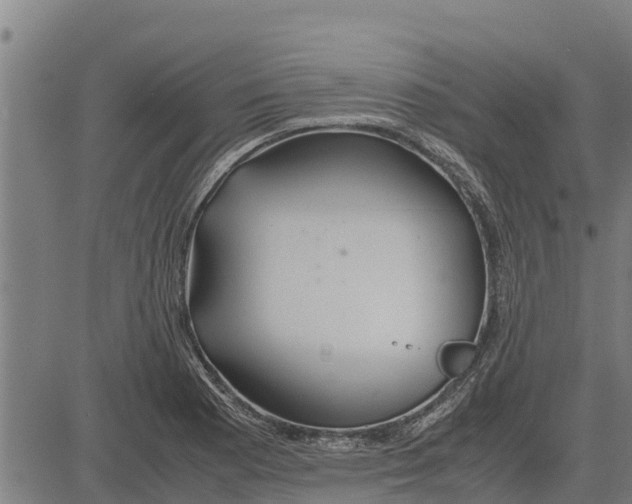 X0000083621177200703121620