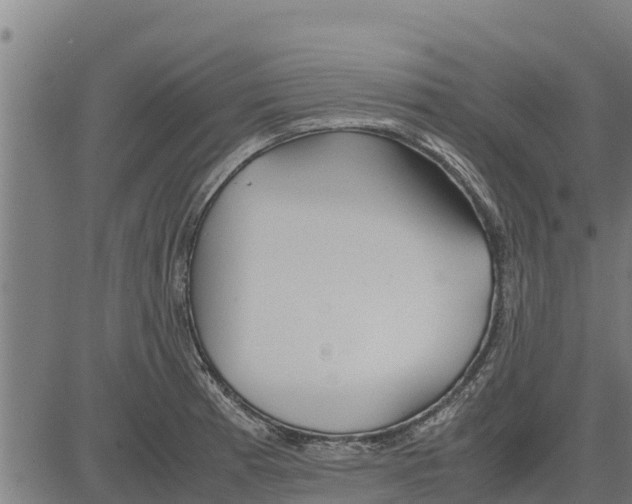 X0000083621185200703121620