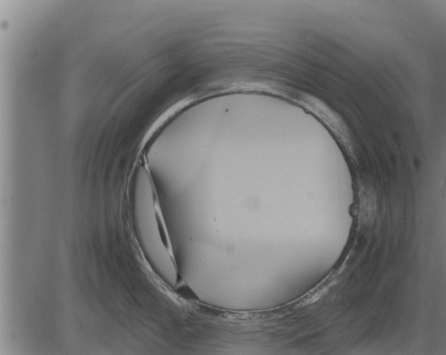 X0000083621198200703121620