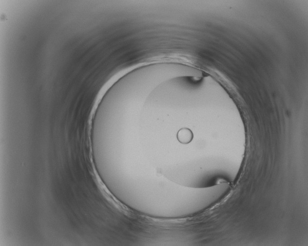 X0000083621200200703121620