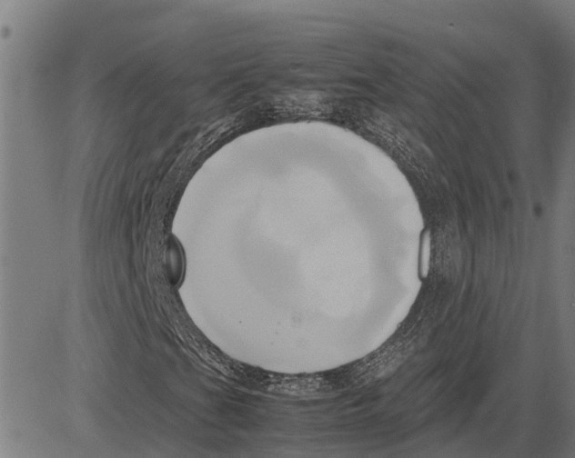 X0000083621201200703121619