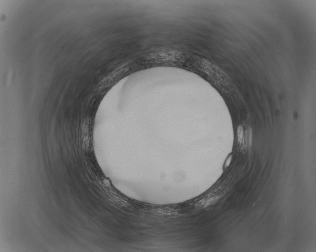 X0000083621203200703121619