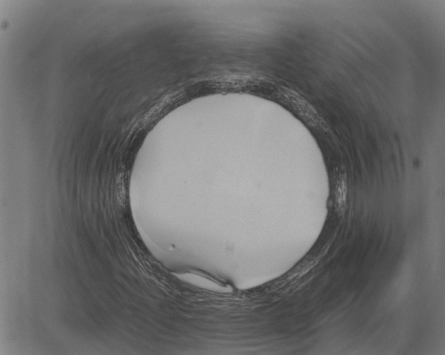 X0000083621204200703121619