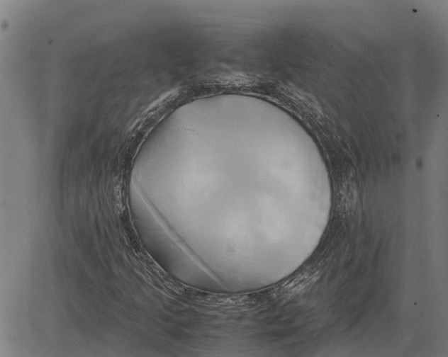 X0000083621205200703121619