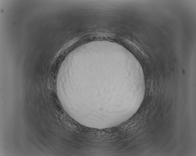 X0000083621207200703121619