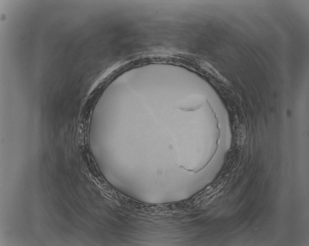 X0000083621208200703121619