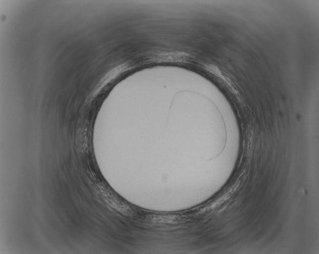 X0000083621211200703121619