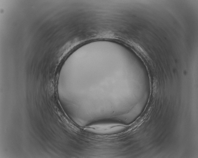 X0000083621212200703121619