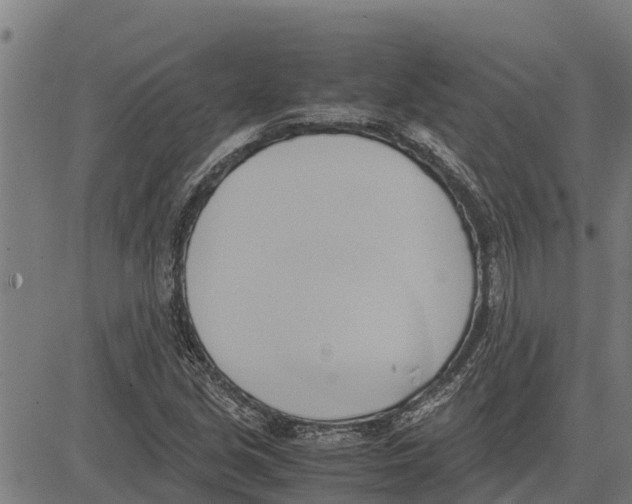 X0000083621213200703121619