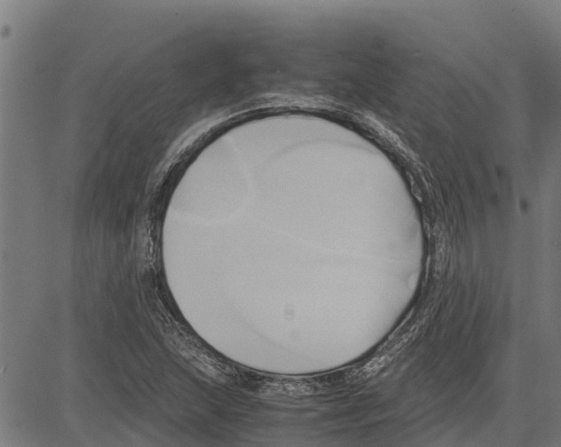 X0000083621215200703121619